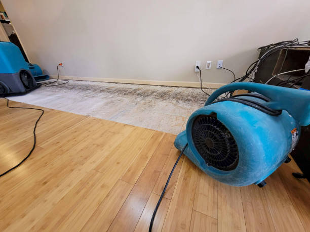 Professional Sewage Cleanup technician working in Independence, VA